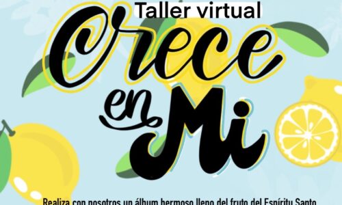miniatura del curso